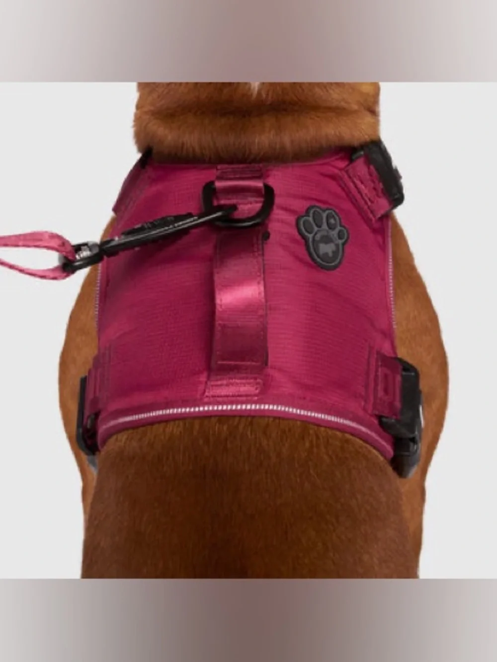 Canada Pooch Complete Control Harness - Plum Color, size M